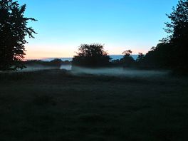 Early morning veiw
