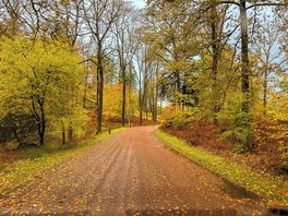 The driveway up to the site!