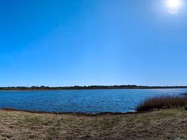 Our lady's island.