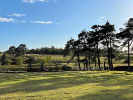 View from site