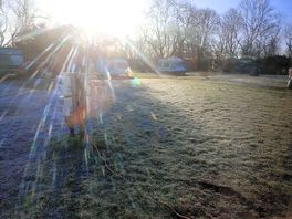 Frosty sunlight