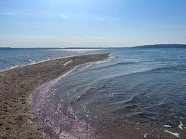 Coole sandbank