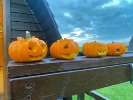 Pumpkins not included.