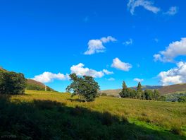 Gorgeous weather