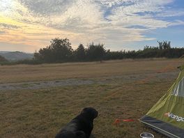 Perfect for dogs too! so much space and this was as busy as it gets