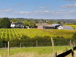 Local views