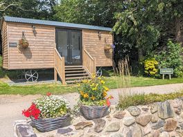 Llywelyn Shepherd Hut
