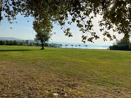 Spiaggia badiaccia