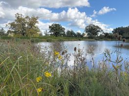 Lovely walks