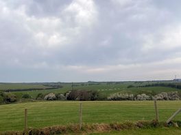 View from a walk from the second field.