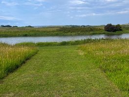View of the river