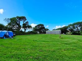 The first field