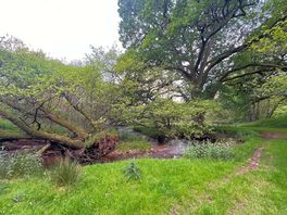 Hiking path