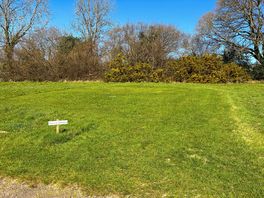 2nd Meadow