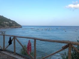 View from our pitch