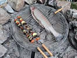 Local trout