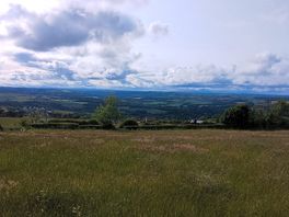 Beautiful view