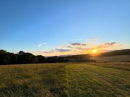 The sunset