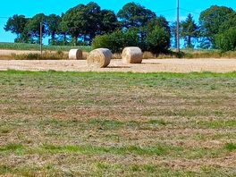 Grands espaces !