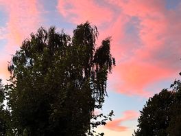 Lovely sunset