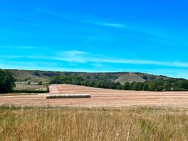 Fields adjoining campsite