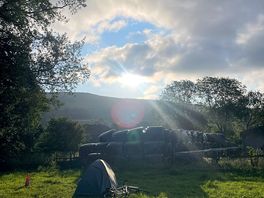 Morning sunshine