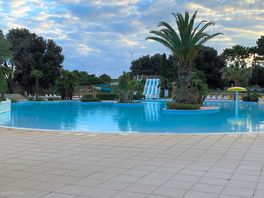 Fantastic pool