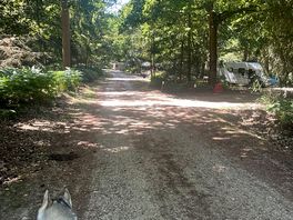 Main drive through campsite