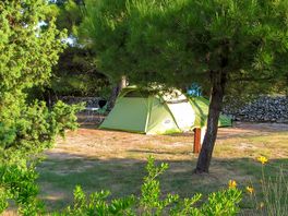 Pitches among the trees
