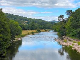 Lush walk along river usk