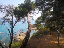 Lloret de mar