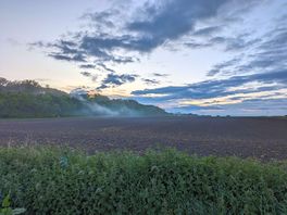 Misty evening over the dog walking field