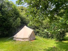 Large pretty grass pitches