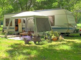 Caravan shaded by trees