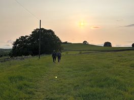 Lovely evening walk just opposite the higher camp site