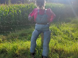 Welcome scarecrow
