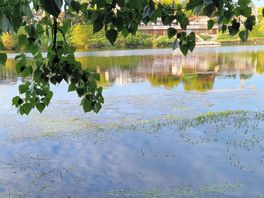 En bord de dordogne