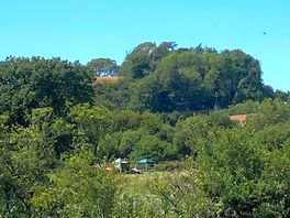 Rural location of site