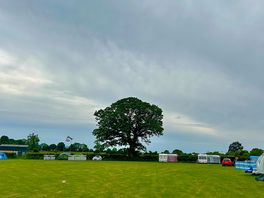 Field area