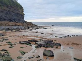 Local beach