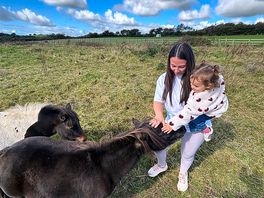 Met the friendly horses on our walk
