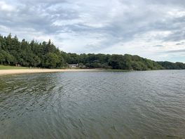 Lake view