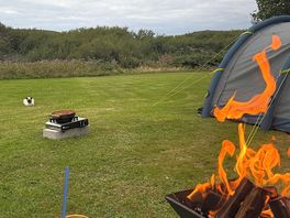Fire and the local cat