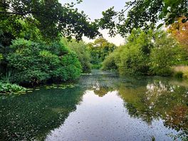 Lovely lake