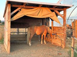 Cheval
