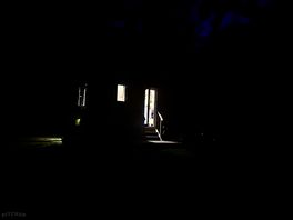 Peaceful night - owls cooing
