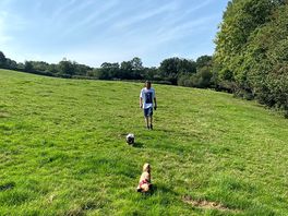 Fantastic walks