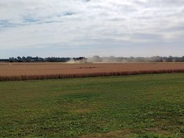 Taken on the farm main road.