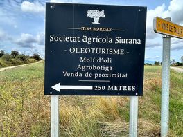 Agricola siurana