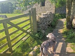 Beautiful walks